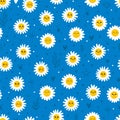 Cute floral seamless pattern. Daisy flowers seamless pattern. Beautiful chamomile print great for fabric, wrapping paper