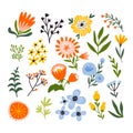 Cute floral set in hand-drawn style isolated on the white background. Bright flowers for summer card
