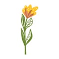 cute flower carden isolated icon Royalty Free Stock Photo