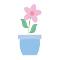 Cute flower and leafs plant in ceramic pot