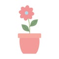 Cute flower and leafs plant in ceramic pot