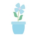 Cute flower and leafs plant in ceramic pot