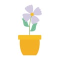 Cute flower and leafs plant in ceramic pot