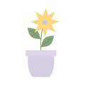 Cute flower and leafs plant in ceramic pot