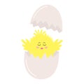Cute fluffy baby chick in the cracked egg. Chicken hatching from the egg. Easter cartoon character Royalty Free Stock Photo