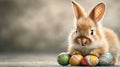 a cute fluffy baby rabbit dressed in colorful easter egg decorations Royalty Free Stock Photo