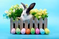 Cute fluffy black spot rabbit with long ears in flower bed with colorful easter eggs row on blue background, bunny with easter egg Royalty Free Stock Photo