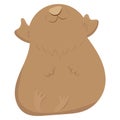 Cute fluffy brown guinea pig sitting on the bottom with the muzzle raised up, cute domestic rodent, vector illustration