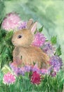 A cute fluffy brown rabbit in a grass and flowers Royalty Free Stock Photo