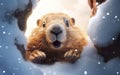 Cute fluffy cartoony groundhog comes out of a snowy burrow after hibernation, soft warm backlight. AI Generative Royalty Free Stock Photo