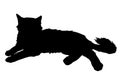 Cute fluffy cat lays. Vector illustration of black silhouette of kitty isolated on white background. Element for your Royalty Free Stock Photo