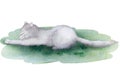Cute fluffy cat sleeps in a graceful pose. Watercolor composition Royalty Free Stock Photo