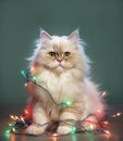 Cute fluffy cat tangled in Christmas lights Royalty Free Stock Photo