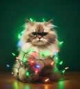 Cute fluffy cat tangled in Christmas lights Royalty Free Stock Photo