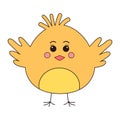 Cute fluffy chicken baby. Easter chick. Royalty Free Stock Photo