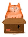 Cute fluffy ginger cat sits in cardboard box on white background.