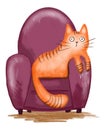 Cute fluffy ginger cat sits in pink armchair on white background.