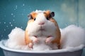 A Cute Fluffy Guinea Pig or Hamster Enjoying a Bubble Bath. Adorable Kawaii Pet with Soft Fur Relaxing in Bathtub, Taking a Bath Royalty Free Stock Photo