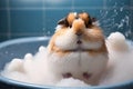A Cute Fluffy Guinea Pig or Hamster Enjoying a Bubble Bath. Adorable Kawaii Pet with Soft Fur Relaxing in Bathtub, Taking a Bath Royalty Free Stock Photo