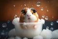 A Cute Fluffy Guinea Pig or Hamster Enjoying a Bubble Bath. Adorable Kawaii Pet with Soft Fur Relaxing in Bathtub, Taking a Bath Royalty Free Stock Photo