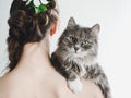 Cute, fluffy kitten and caring woman Royalty Free Stock Photo