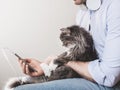 Cute, fluffy kitten and a man with a phone