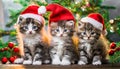 Cute fluffy kittens in red caps,AI