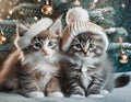 Cute fluffy kittens in winter caps, against the background of a Christmas fir-tree. Christmas style cat