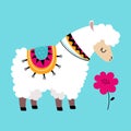 Cute Fluffy Llama or Alpaca as Camelid Pack Animal Smelling Flower Vector Illustration