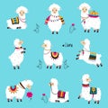 Cute Fluffy Llama or Alpaca Camelid Pack Animal Vector Set Royalty Free Stock Photo