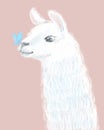 Cute and Fluffy Llama hand drawn illustration