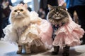 cute and fluffy models strutting their stuff on the catwalk in unique feline and canine inspired outfits