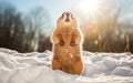 Cute fluffy photorealistic groundhog standing in the sunlight on blurred background, sunny weather, blue sky. AI Generative Royalty Free Stock Photo