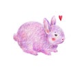 The cute fluffy pink rabbit is isolated on a white background. Simple picture for children with colored pencils. Handwork draw