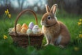 A cute fluffy rabbit sits next to a basket with painted Easter eggs Royalty Free Stock Photo