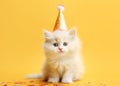 Cute fluffy white kitten in a party hat on yellow background with colorful confetti. Card banner template birthday celebration Royalty Free Stock Photo