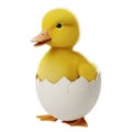 Adorable yellow duckling hatched from a cracked white egg isolated on Royalty Free Stock Photo