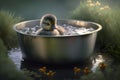 Cute fluffy yellow duckling swimming in metal basin outdoors