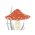 Cute fly agaric in the grass, forest poisonous mushroom. Cartoon vector illustration. Royalty Free Stock Photo