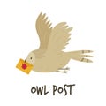 Cute flying owl with a letter. Owl post