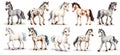 cute Foal Clip Art Set, cute Foal Sticker, generated ai