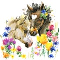 Cute foal watercolor illustration. farm animal Royalty Free Stock Photo