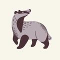 Cute forest animal, furry badger. Happy woodland fluffy brock with nice fur walk, watch. Funny and fuzzy and kind beast