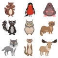 Cute forest animals and birds set, chipmunk, bullfinch, mole, cheerful, owl, polecat, raccoon, deer, wolf cartoon