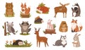 Cute forest animals dear and fox, raccoon