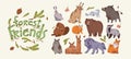 Cute forest animals set. Wild funny beast characters from woodland. Brown bear, fox, squirrel, owl bird, boar, wolf Royalty Free Stock Photo