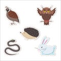 Cute Cartoon Forest Animals Stickers Collection Royalty Free Stock Photo