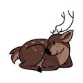 Cute forest deer laying down animal vector illustration. Buck deer with antlers. Childlish hand drawn doodle style. For