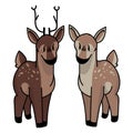 Cute forest doe and buck vector illustration. Buck deer with antlers. Childlish hand drawn doodle style. For game animal