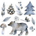 Cute forest icons. Scandinavian watercolor symbols. Woodland decoration illustration. Forest wildlife set graphics